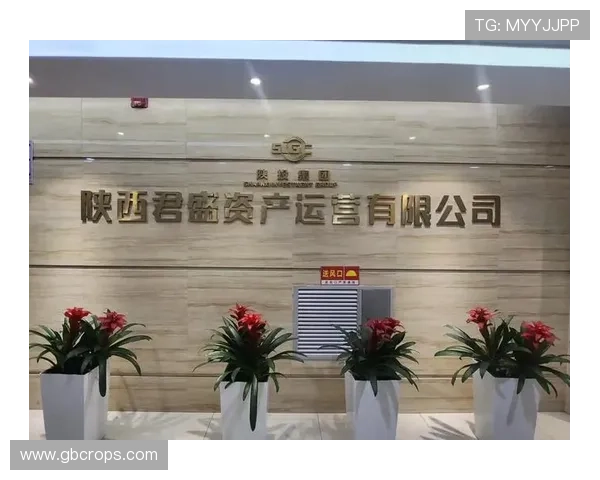 尊龙z6旗舰厅安全保障措施详解，保障玩家账号信息与资金安全