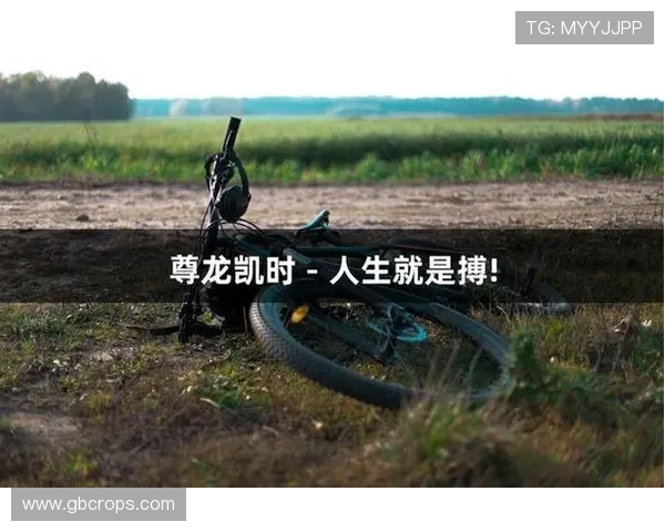 尊龙凯时人生就是博：从游戏中汲取人生启示提升个人竞争力