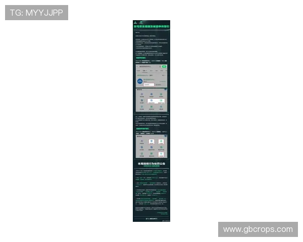 尊龙备用平台提供全面的账号保护措施，防止账号被盗风险