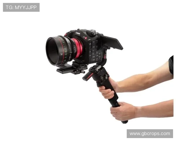 解锁Z6尊龙安卓版的隐藏功能，提升你的使用体验和乐趣