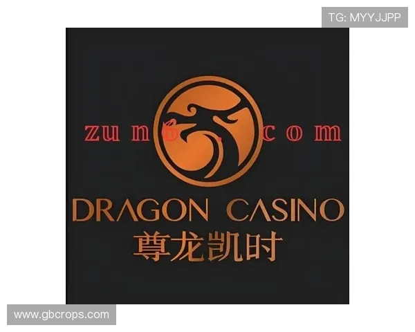 凯时尊龙客服支持多平台服务让玩家无论使用何种设备都能获得优质帮助